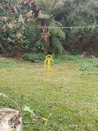 Fazenda/Sítios/Chácaras em Flores da Cunha - São Cristóvão (Distrito)
