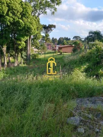 Lote/Terreno em Caxias do Sul - São Virgílio