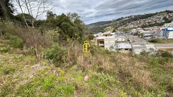 Lote/Terreno em Caxias do Sul - Esplanada