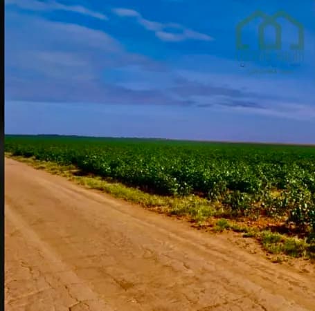 Fazenda Lavoura em Centro, Campos de Júlio/MT