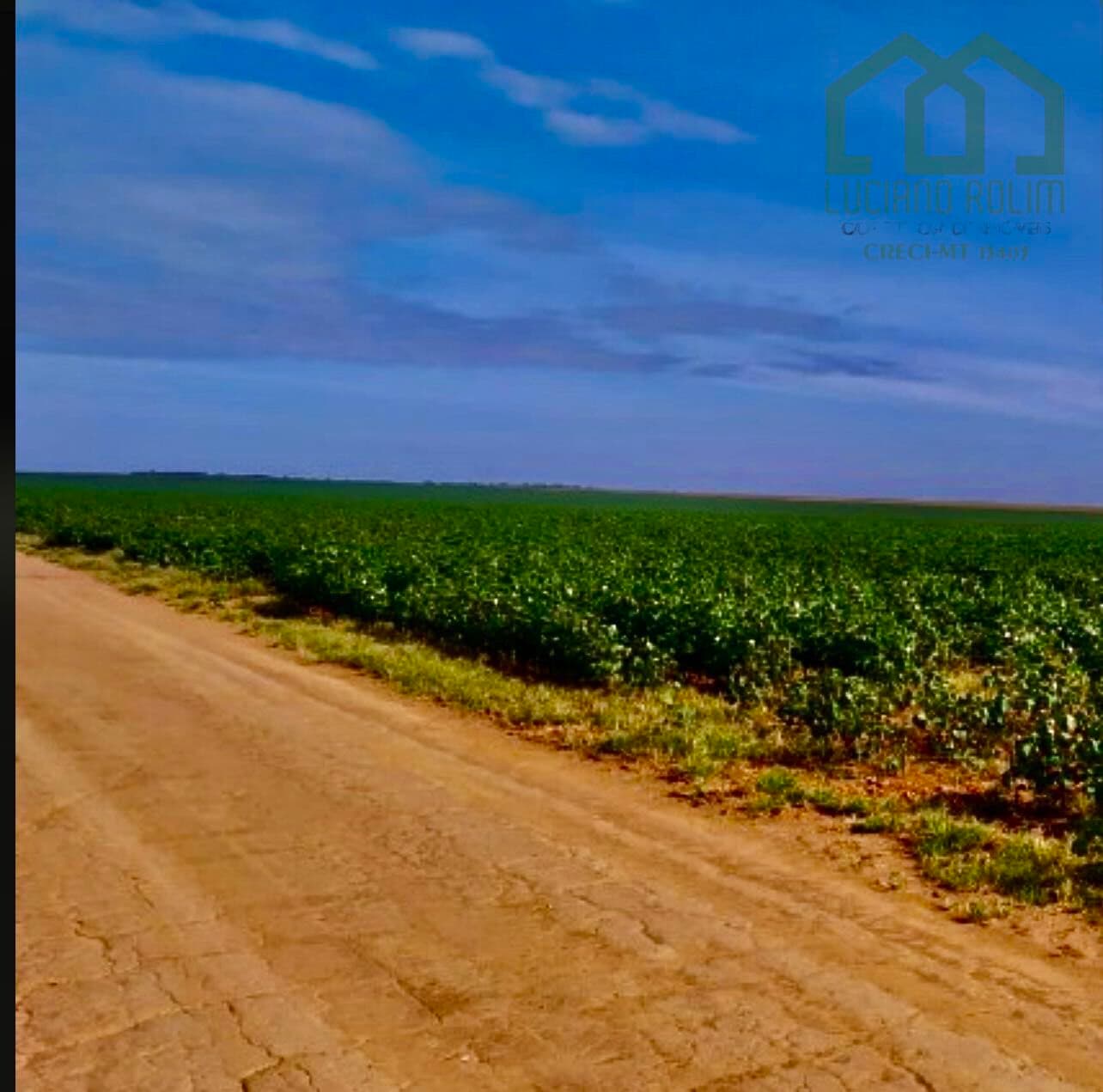 Fazenda Lavoura em Centro, Campos de Júlio/MT