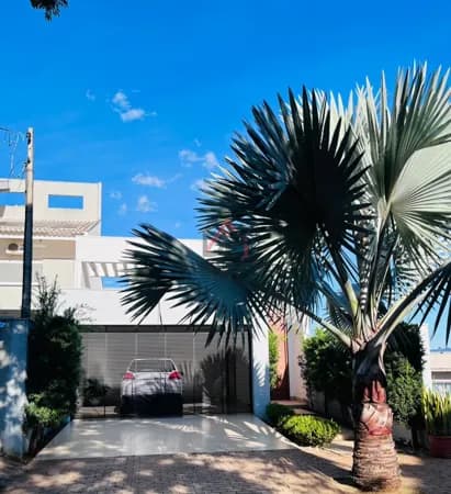 Casa Alto Padrão em Parque Cidade Jardim, Umuarama/PR