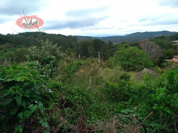 Terreno em Condomínio para Venda em Vila Santo Antônio São Roque-SP