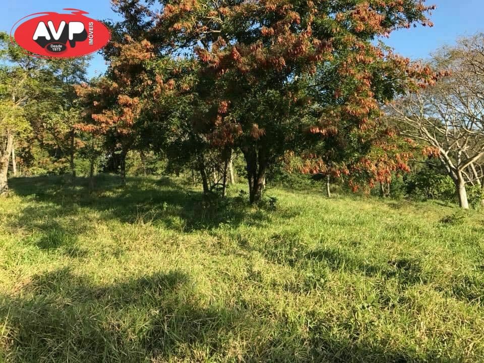 Terreno Terreno