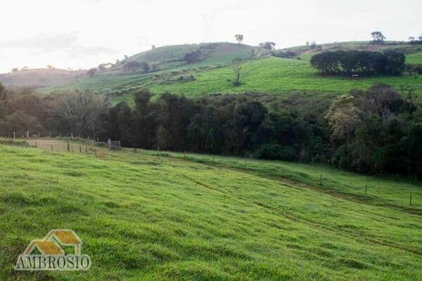 Fazenda pasto