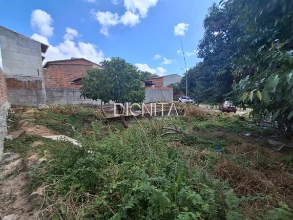 Terreno Plano com excelente Localização LOTE 30X25