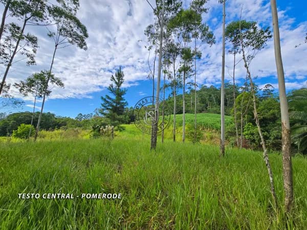 Excelente Terreno com 39 Mil m² à Venda em Pomerode – Natureza e Fácil Acesso