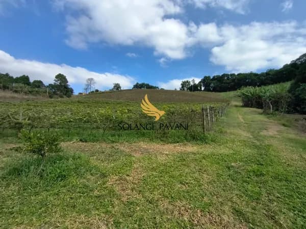Fazenda/Sítios/Chácaras em Jundiaí - Caxambu