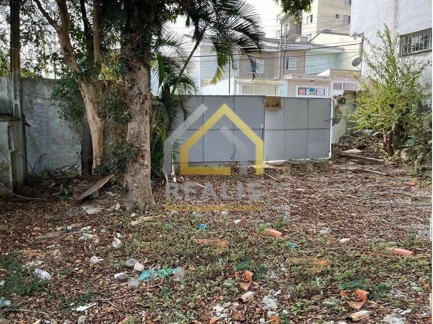Terreno plano 500 m², bairro Campo Grande, São Paulo