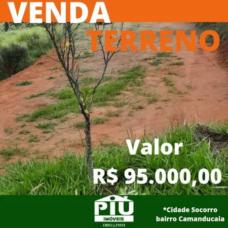 Lote/Terreno em Socorro - Centro