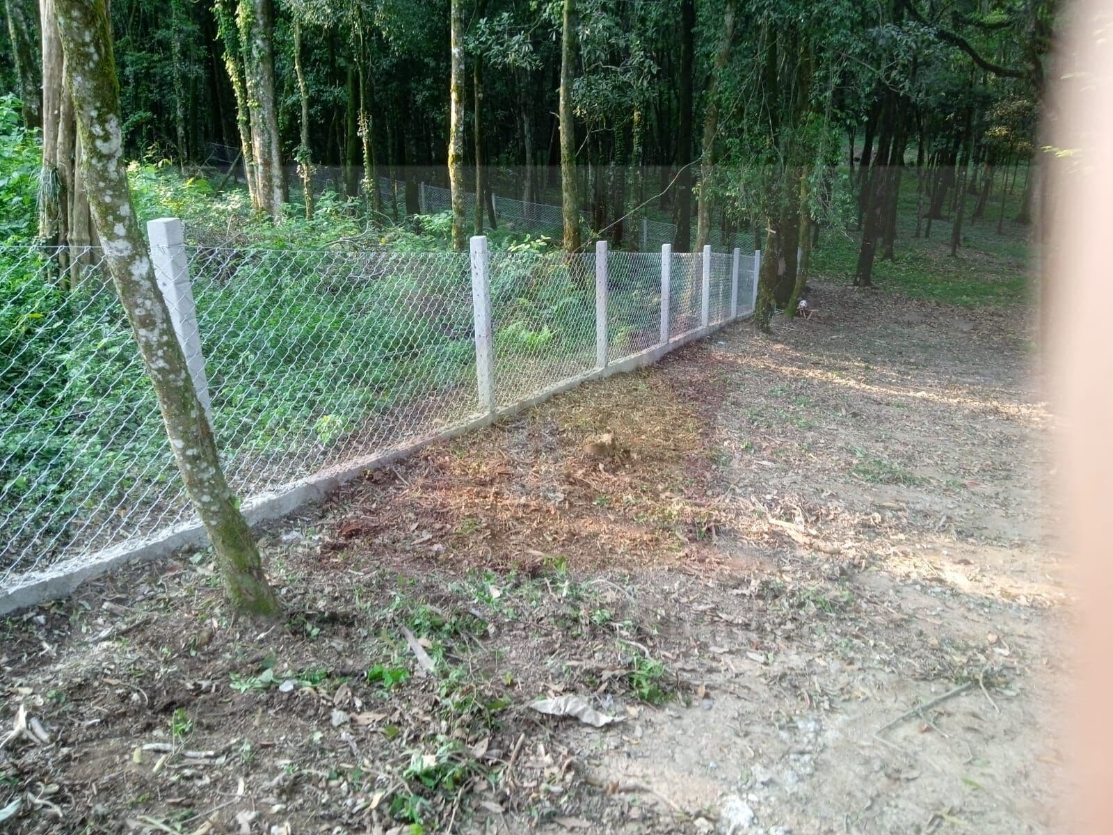 Terreno em Centro, Balsa Nova/PR