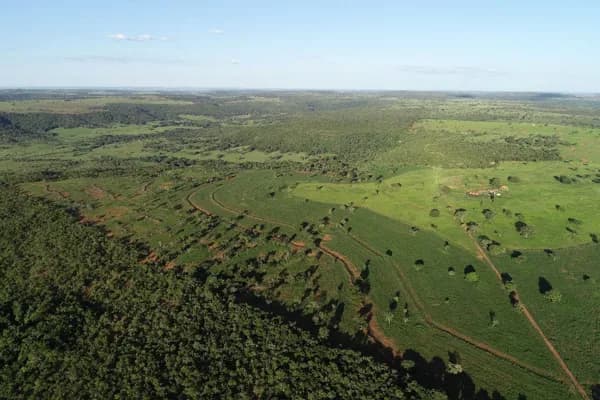 Fazenda a venda a 35 km de Campina Verde