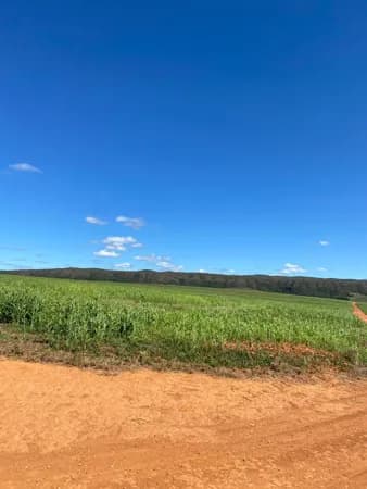 Fazenda em Santo Antônio do Rio Verde, Catalão/GO