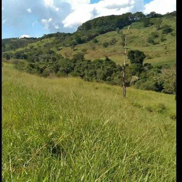 Sítio aptidão para pecuária região Uberlândia MG