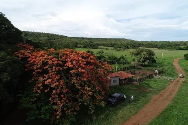 Fazenda a venda em Honorópolis MG