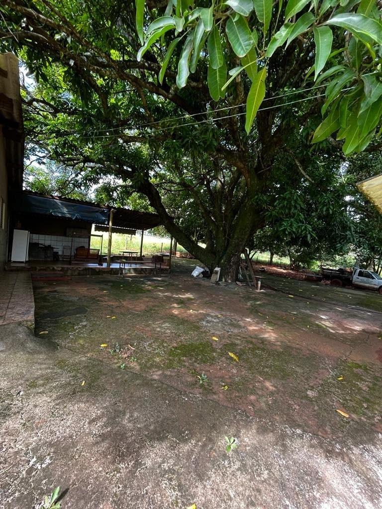 Sítio distrito de Martinésia