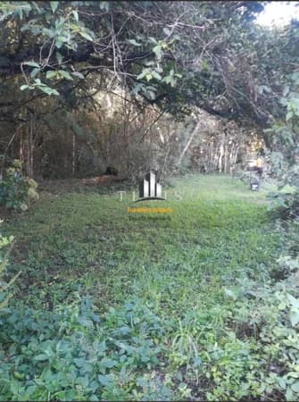 Fazenda/Sítios/Chácaras em São Marcos - Pedras Brancas