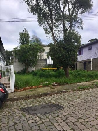Lote/Terreno em Caxias do Sul - Cidade Nova