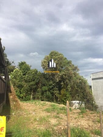 Lote/Terreno em Caxias do Sul - Centenário