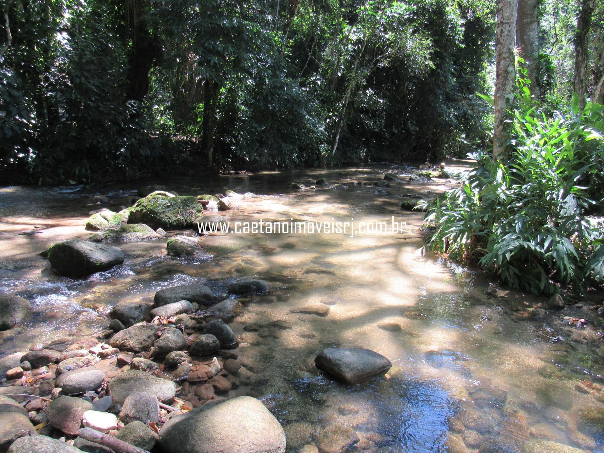 Propriedade c/ Cachoeira Privada