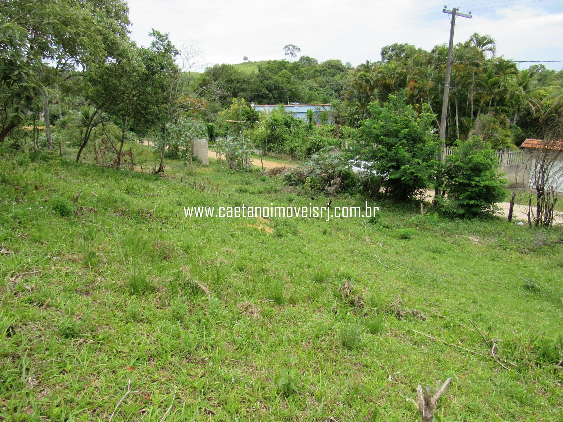 Terreno Ideal P/ Montar Sua Chácara