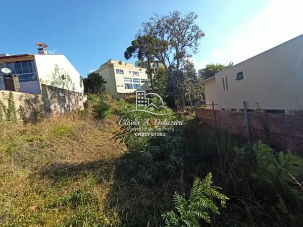 Terreno Centro