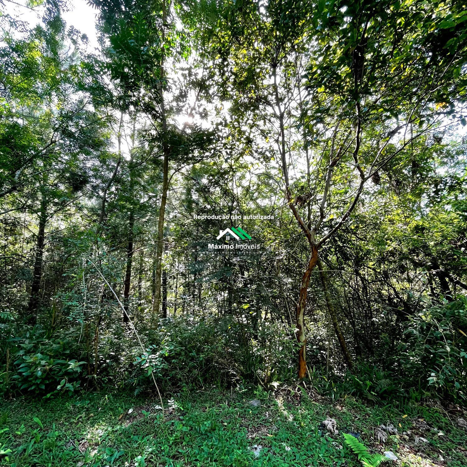 Terreno em Igrejinha, elevado, Bairro Figueira
