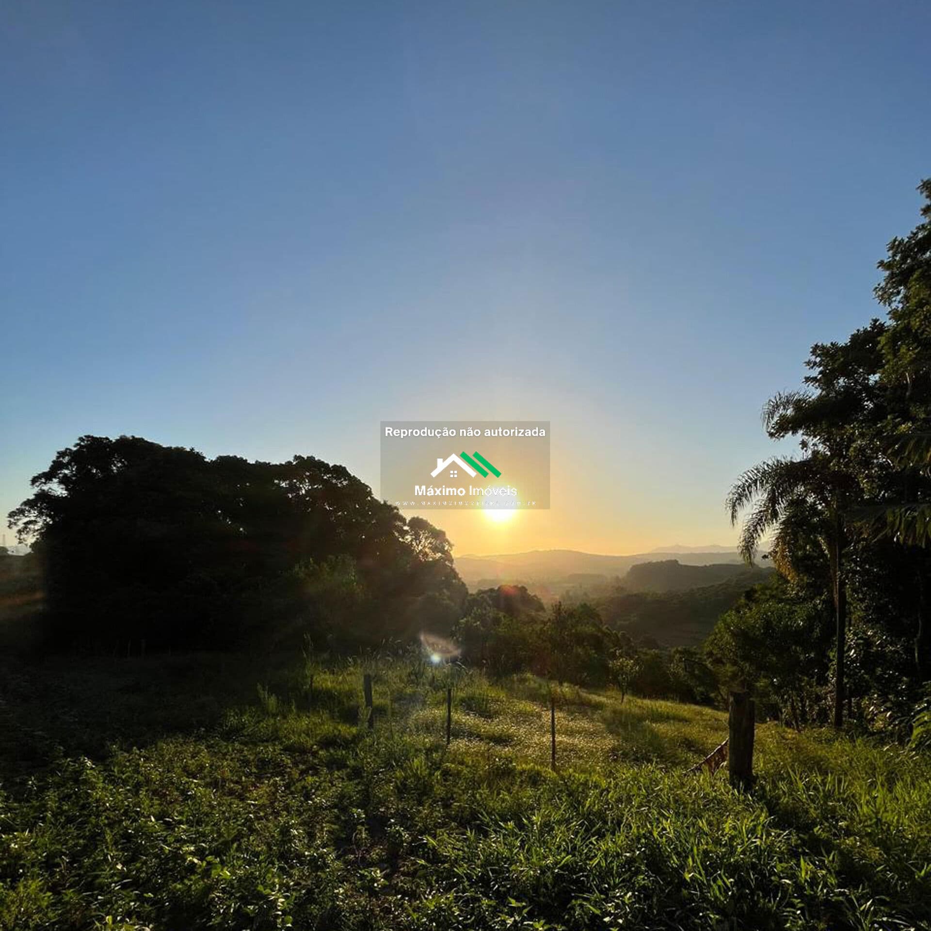 Área Rural com 5.000 m2 na Picada Francesa em Igrejinha