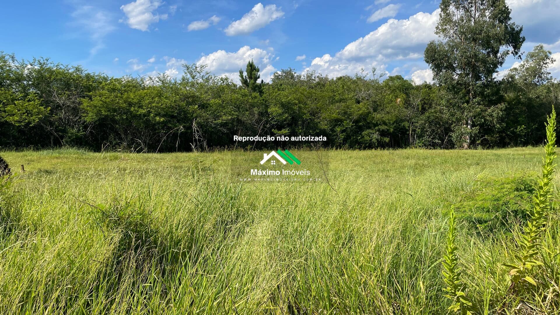 Terreno em 15 de Novembro, Igrejinha/RS
