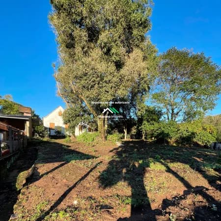 Terreno em local elevado no Bairro Vila Nova