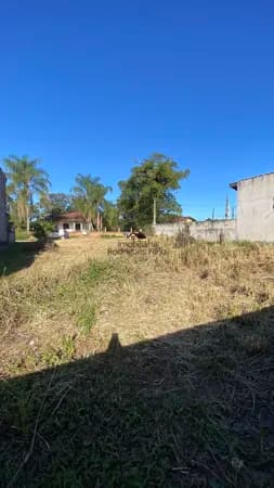 Terreno balneario Palmeiras, desmembrado em 2 de 8x24