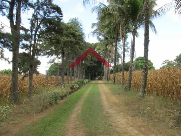 Fazenda/Sítios/Chácaras em Cosmópolis - Centro