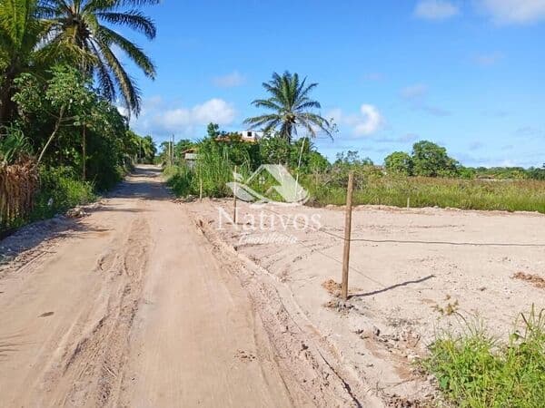Lote na praia de Algodões