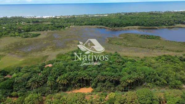 Paraíso à Venda em Algodões: 3 Hectares com Lago, Mata Nativa e Potencial para Ecolodge a 1km do Mar