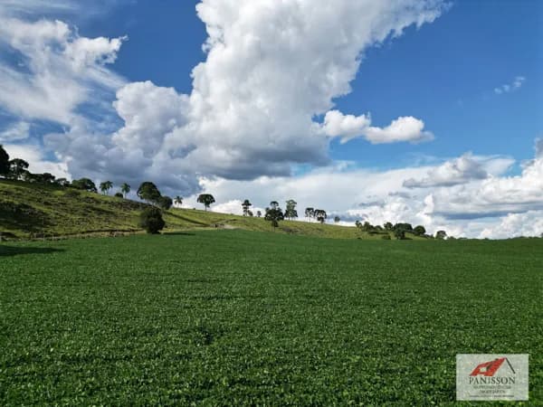 Área rural