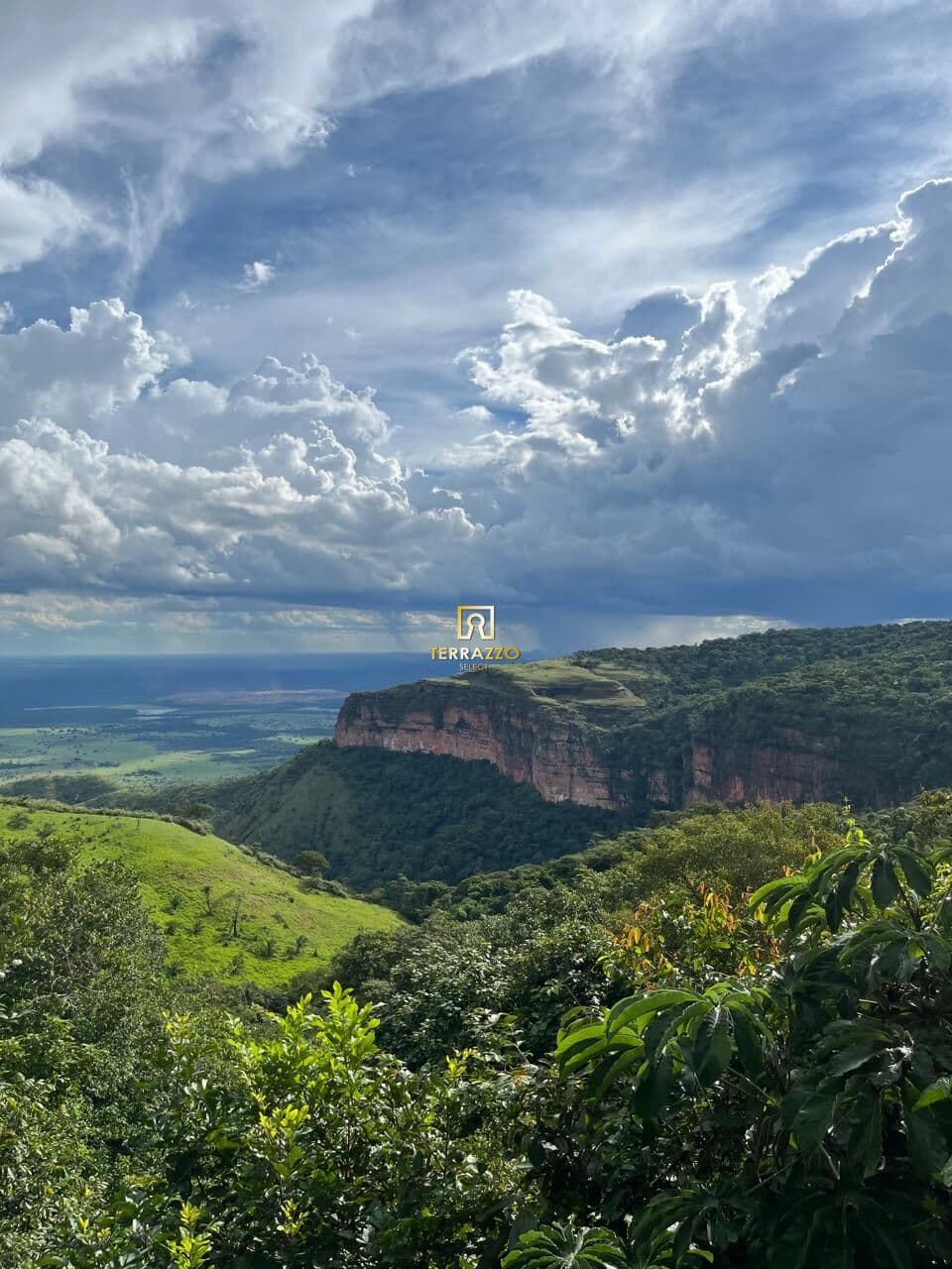 Florais Chapada