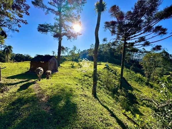 Terreno ideal para chalés em Benedito Novo