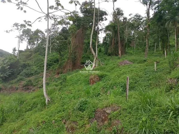 Terreno no Bairro Tiroleses
