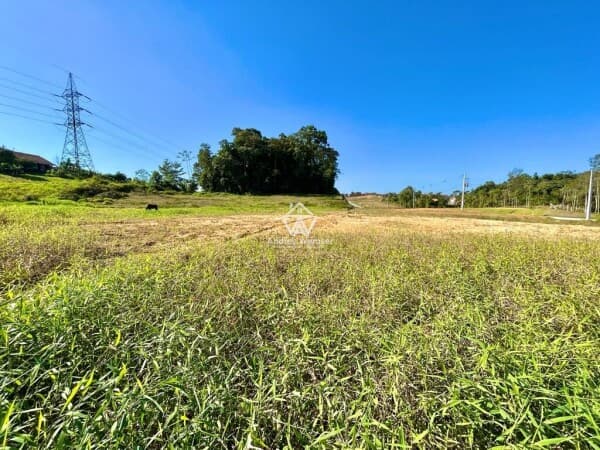 Terreno Bairro Araponguinhas