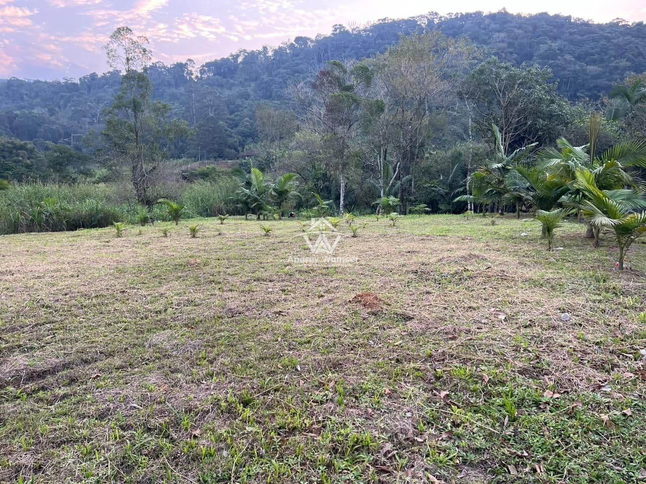 Terreno frente para rodovia