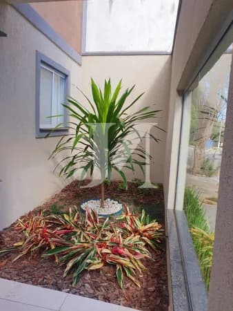 Apartamento Padrão de 41m², 2 Dormitórios e Sem vaga no Condomínio Residencial San Pedro