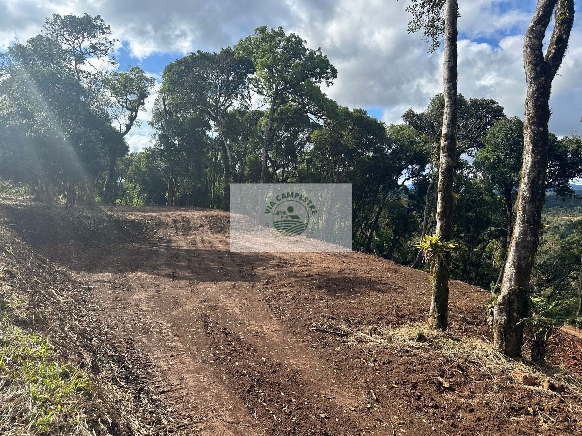 Sítio com 20.000 m², escriturado, 8 km do asfalto, analisa permuta, apenas R$ 395.000,00
