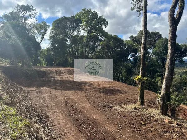Sítio com 20.000 m², escriturado, 8 km do asfalto, analisa permuta, apenas R$ 395.000,00