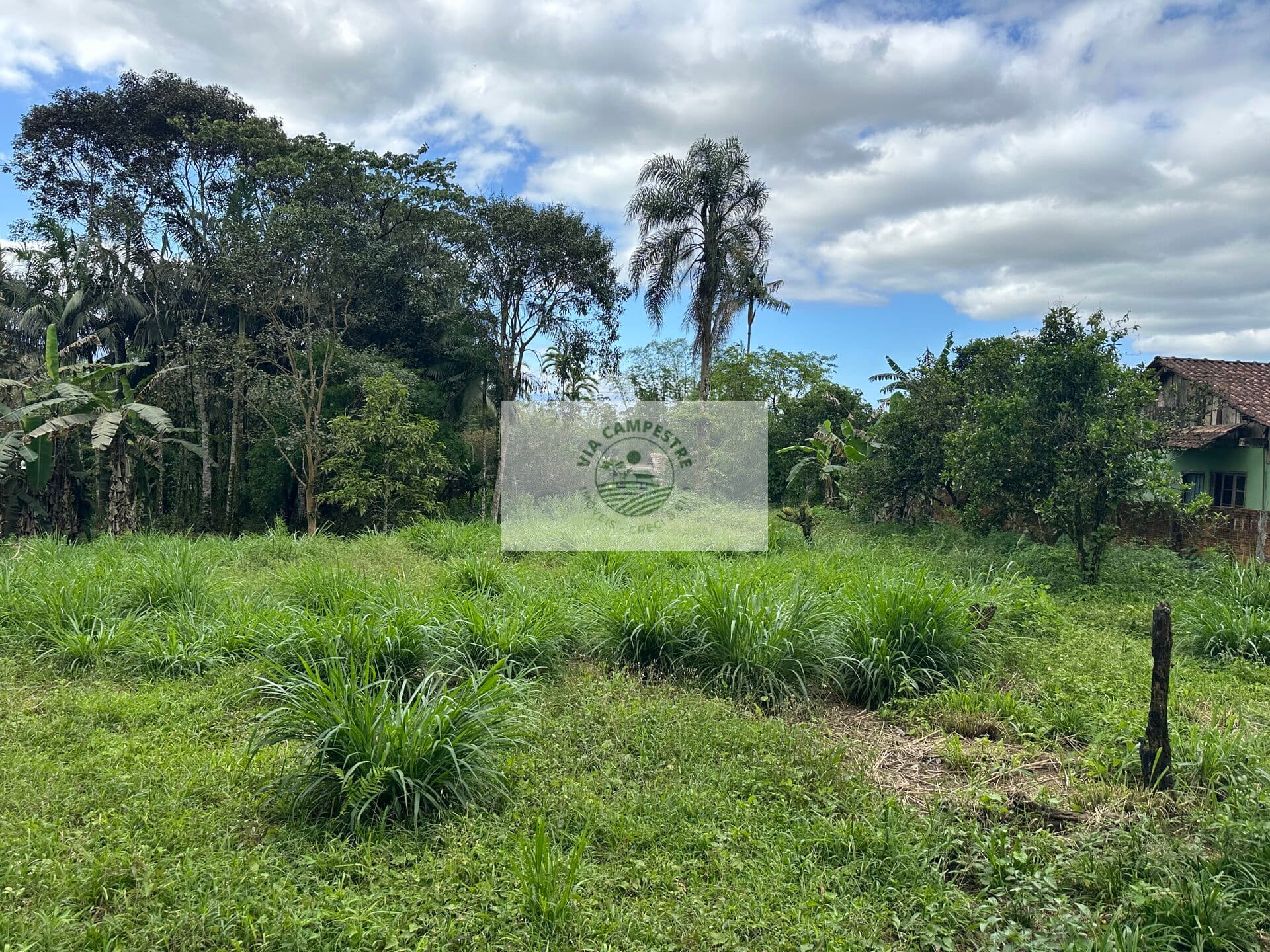 Sítio em Pirabeiraba, com 6.000 m2, com riacho, boa parte limpa