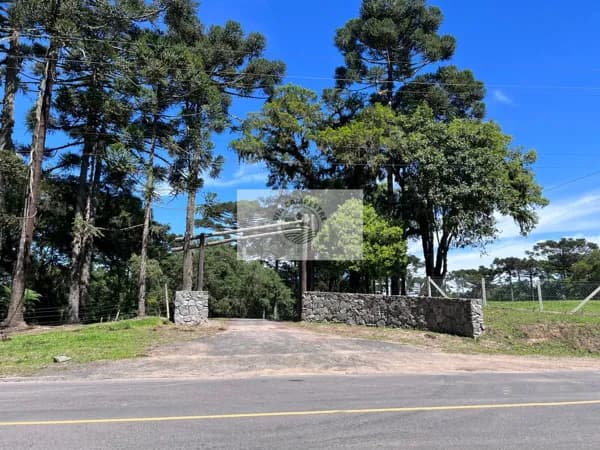Sítio em condominio fechado com 22.700 m², escriturado, com lindas araucarias