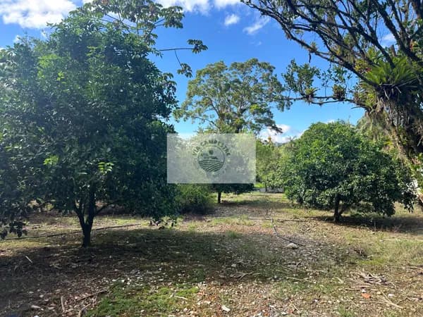 Terreno com 900 m2, com contrato, região do Quiriri, terreno plano