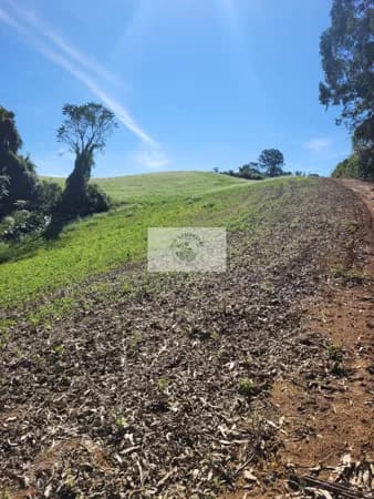 Sítio com 81.949 m², escriturado, aceita permuta, apenas 1.500 metros do asfalto