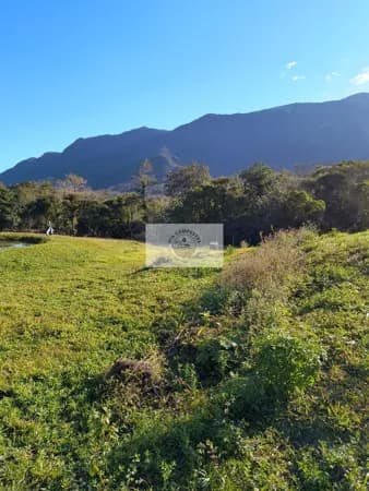 Sítio com 20.000 m², terreno com pastagem, em aclive, com parte de mata