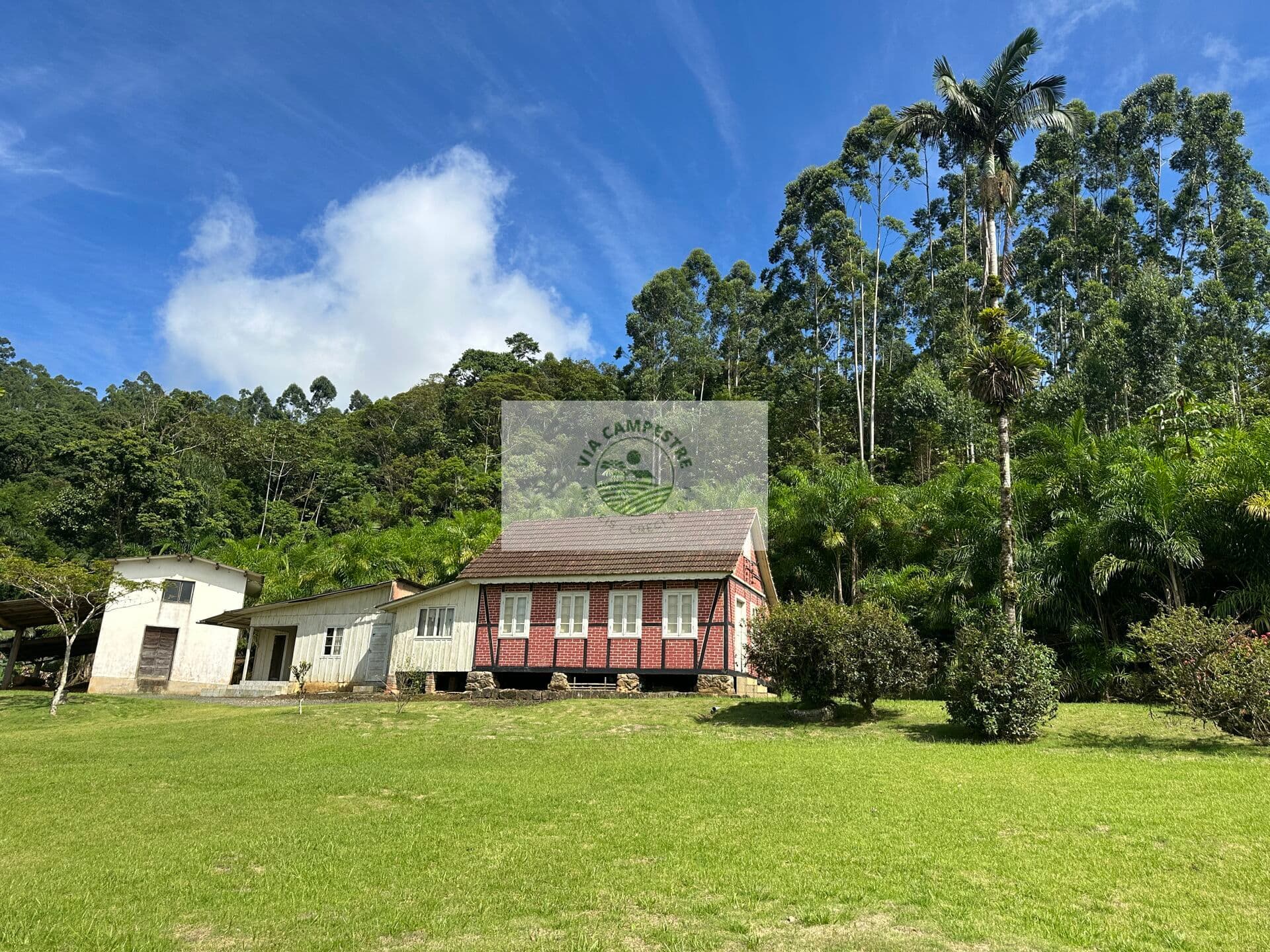 Sítio com 675.970 m², escriturado, com arrozeira, pastagem, bananal e casa, analisa negociação