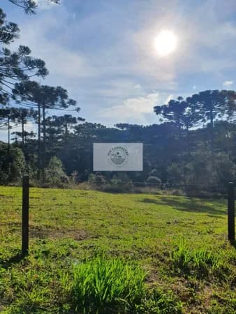 Terreno 8.142 m², escriturado, pode ser financiado pelo banco, varias opções de lotes
